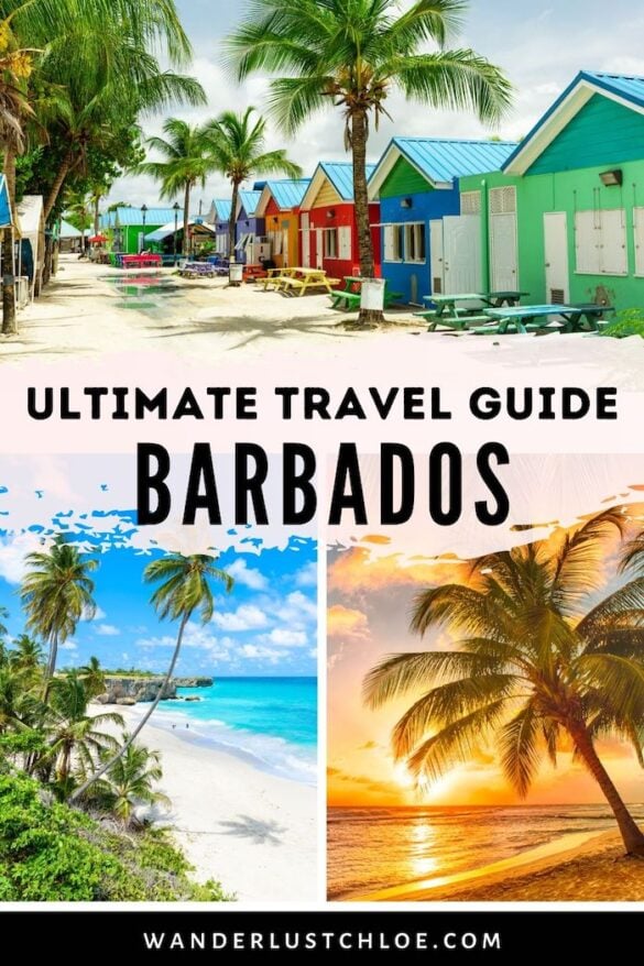 barbados travel board