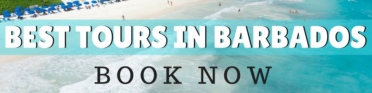 Best Tours In Barbados