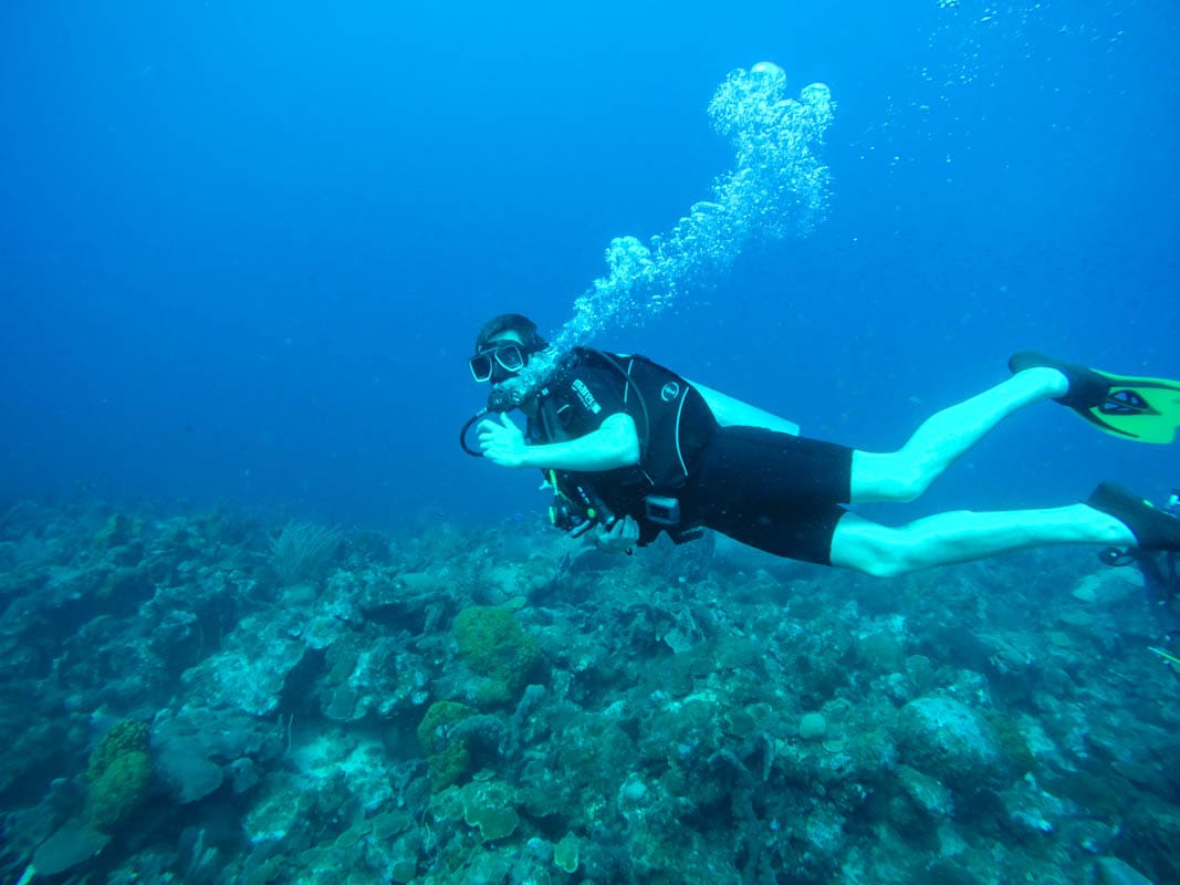 Diving in Barbados (Photo: Macca Sherifi)