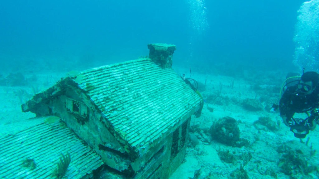 Diving at MUSA in Cancun