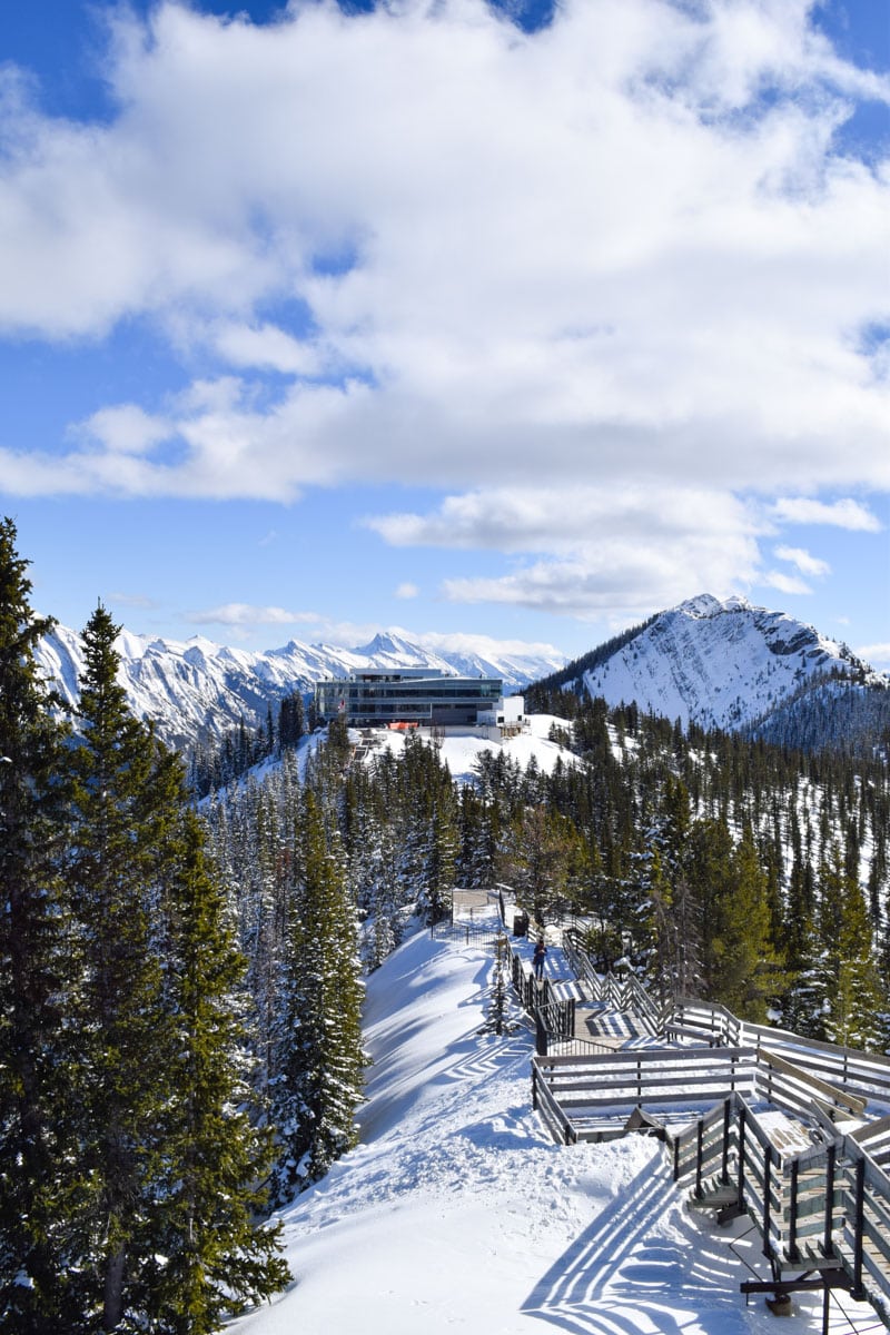 Incredible views from the walkways by the Banff Gondola, Alberta