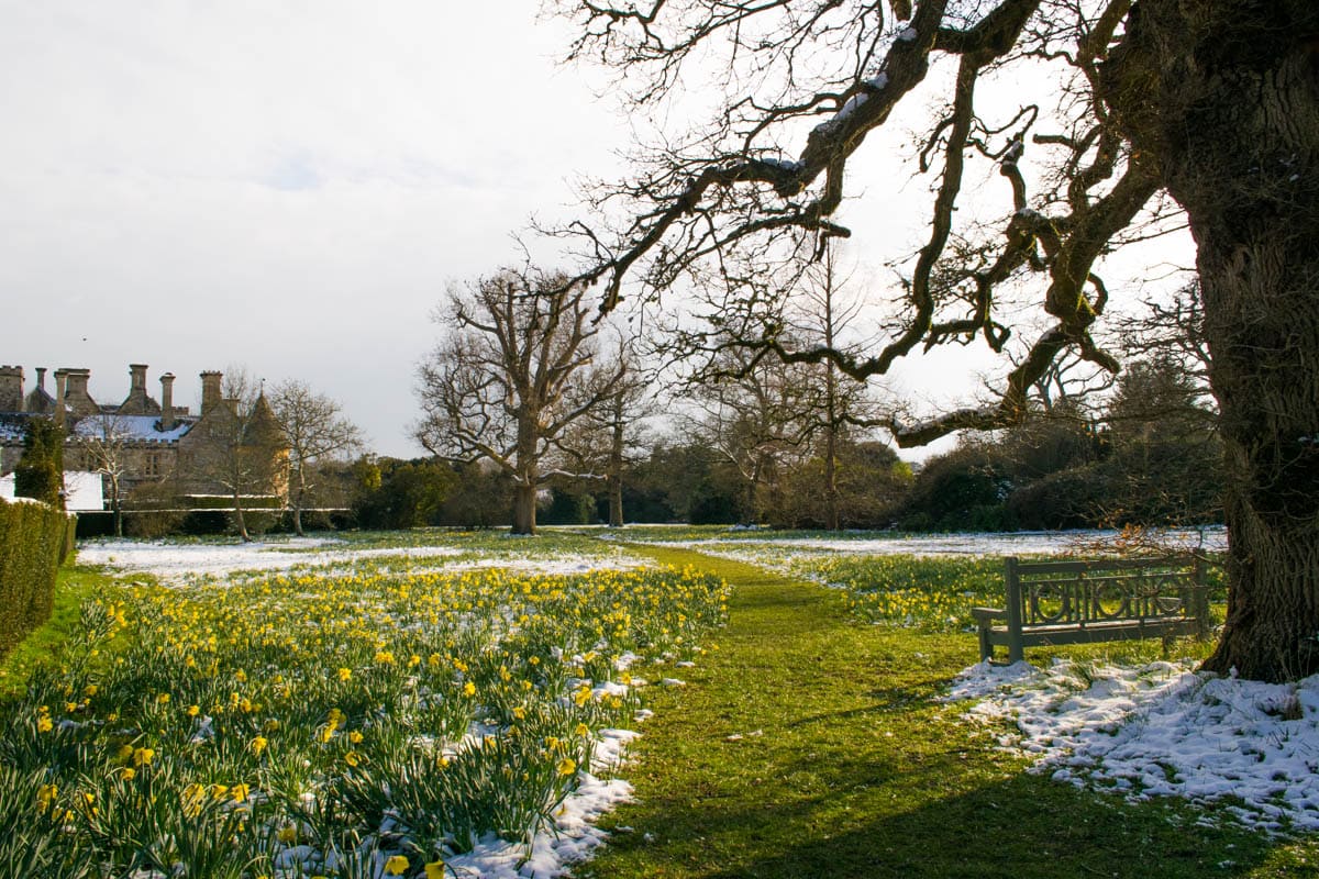 Spring is in the air at Beaulieu Palace House, New Forest