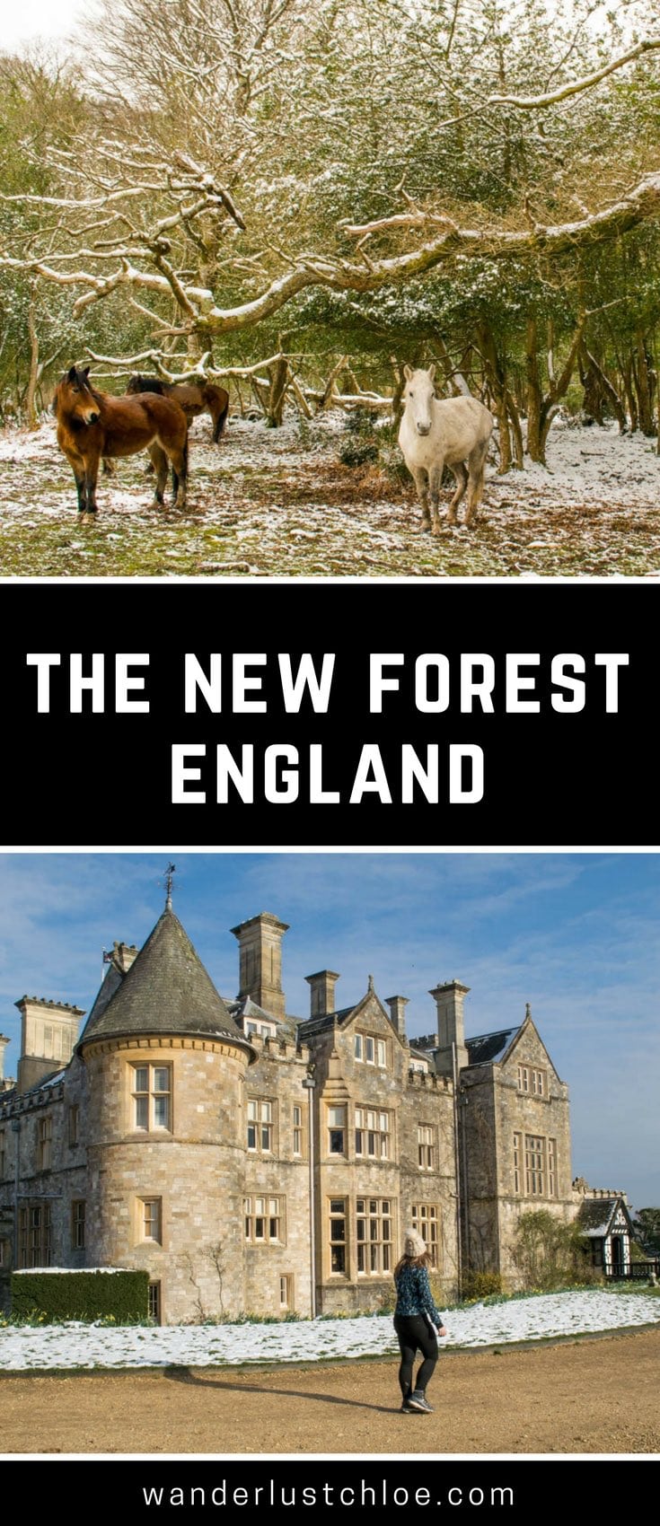 New Forest, England