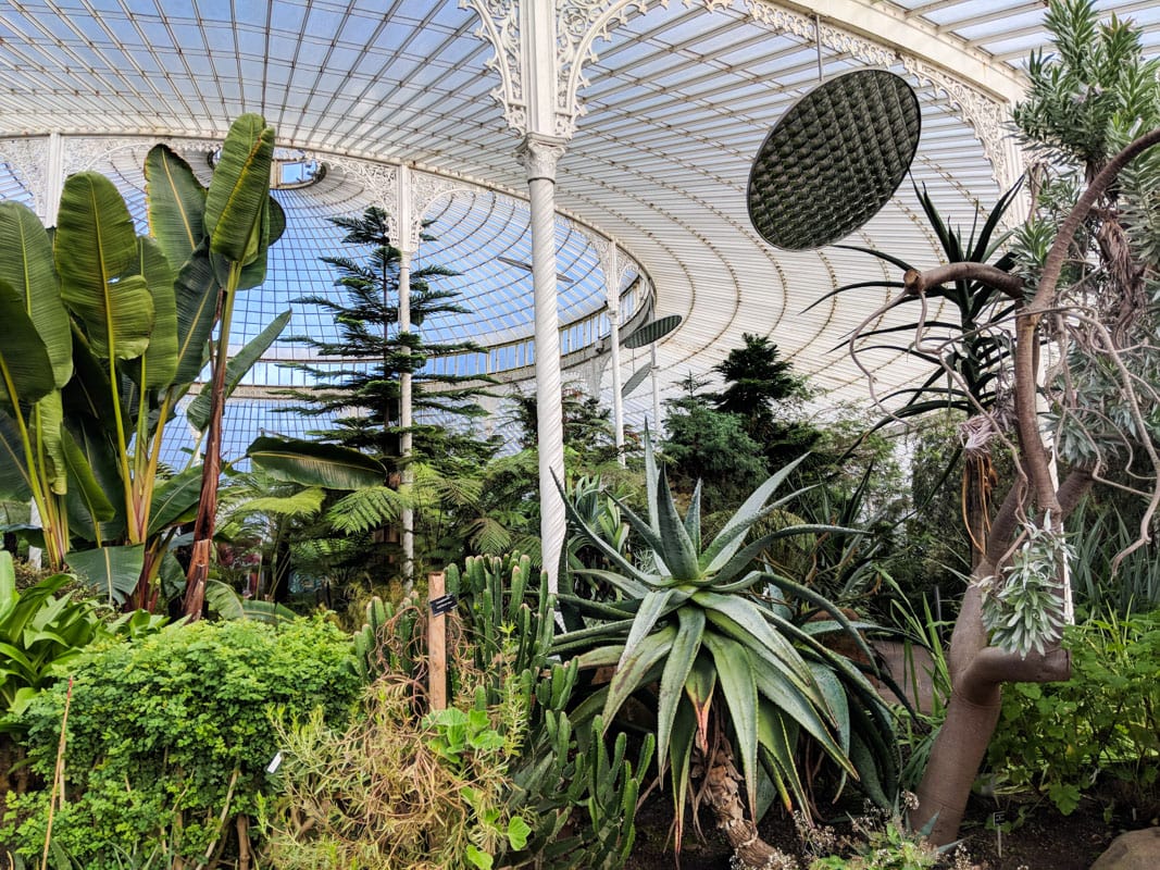 Glasgow Botanic Gardens