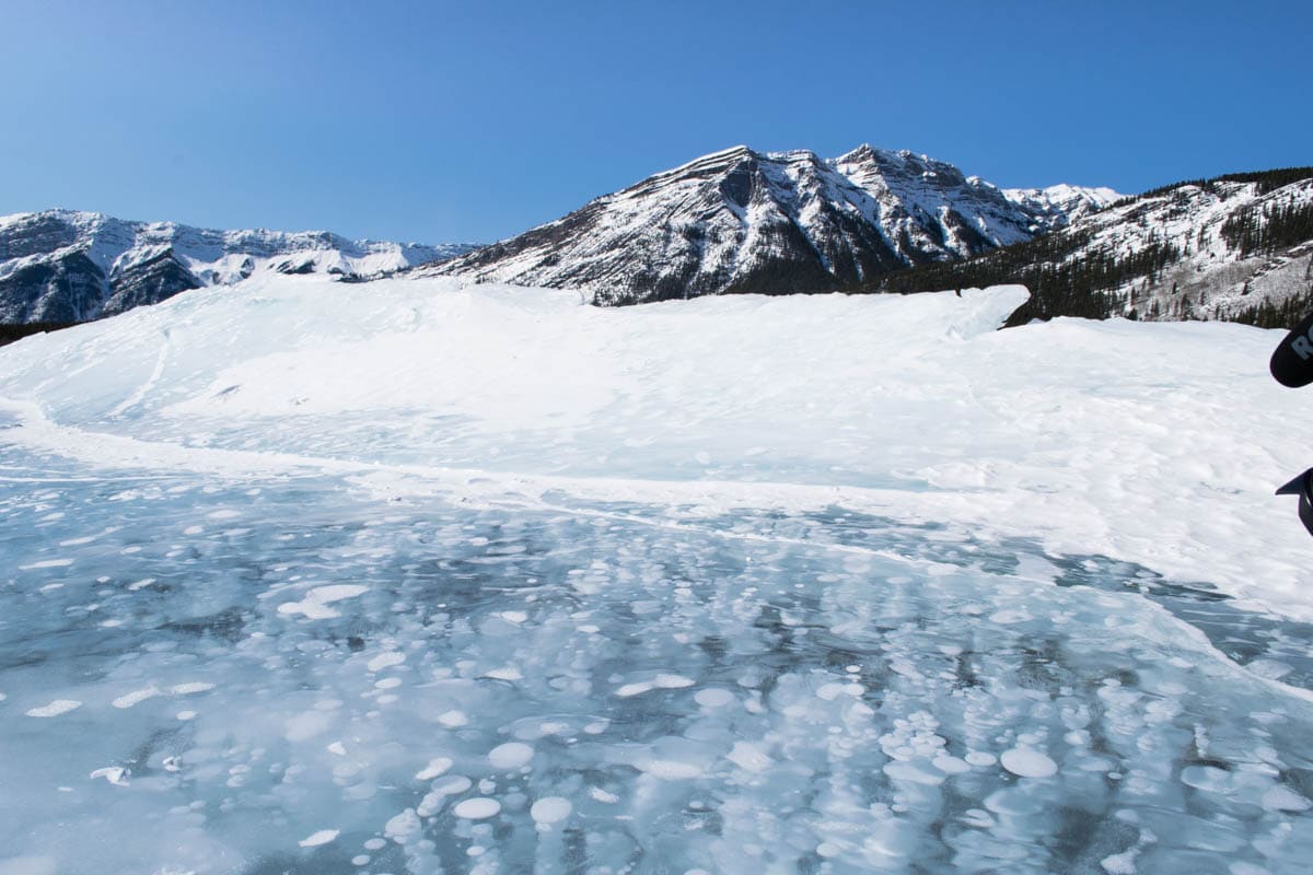 The beautiful ice bubbles on Abraham Lake, Alberta, Canada