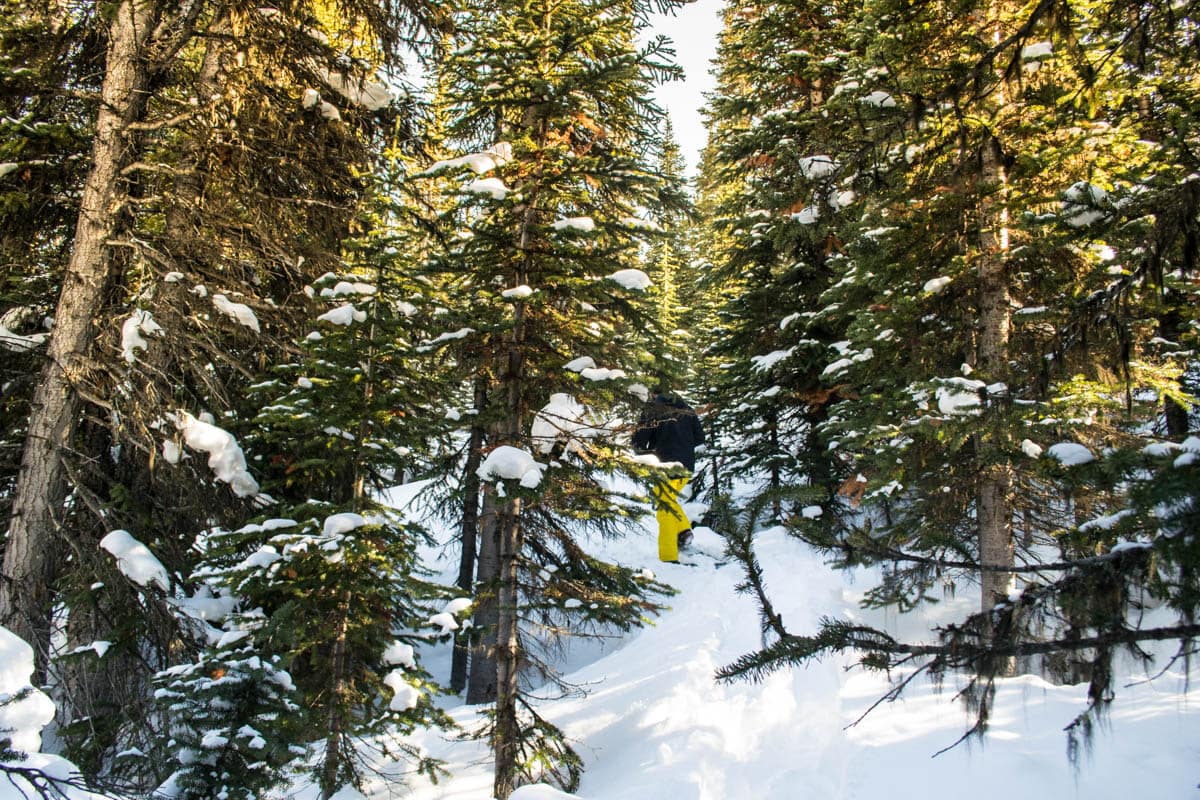 Snow shoeing after landing in an untouched area on our heli tour