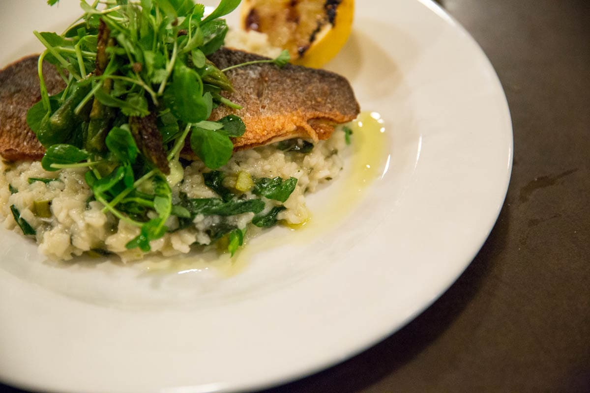 Sea bass at Bush Hall Dining Rooms, Shepherd's Bush, London