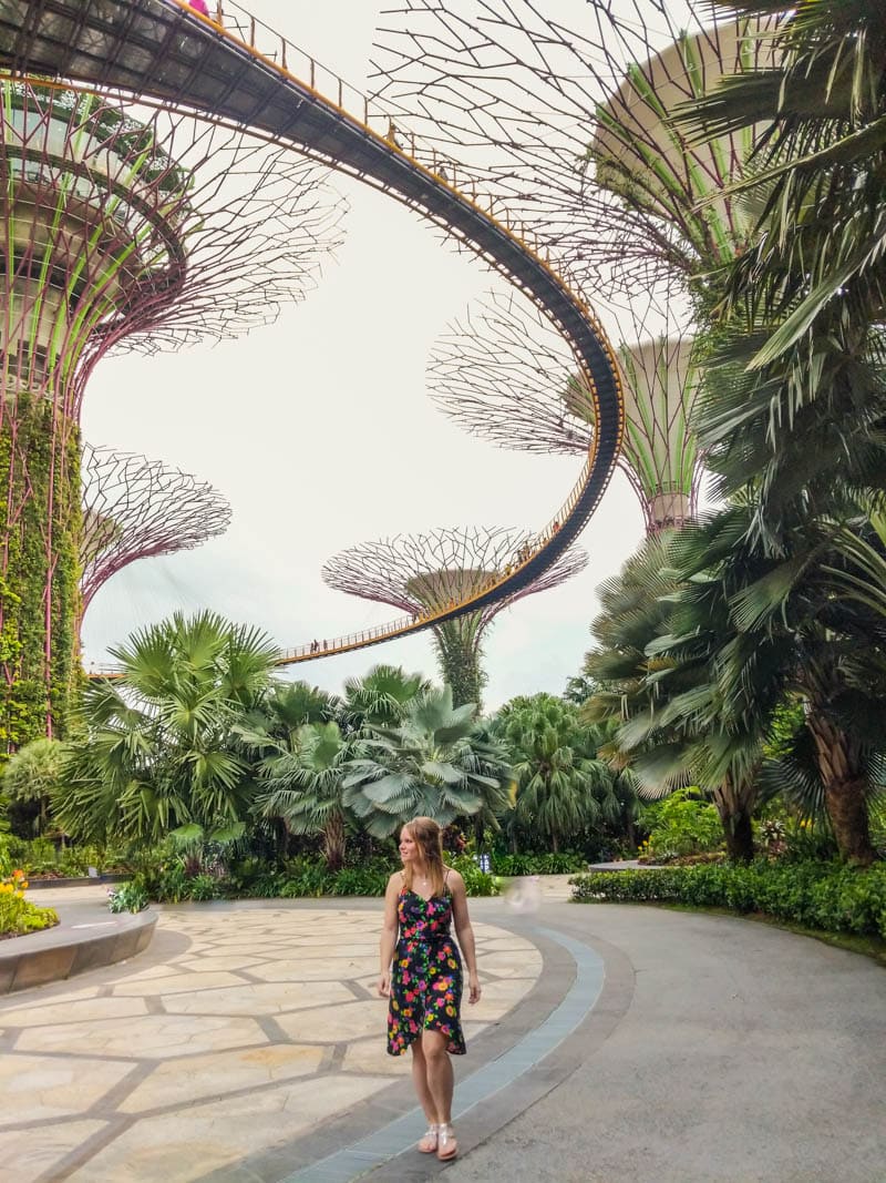 Supertrees at Gardens By The Bay, Singapore