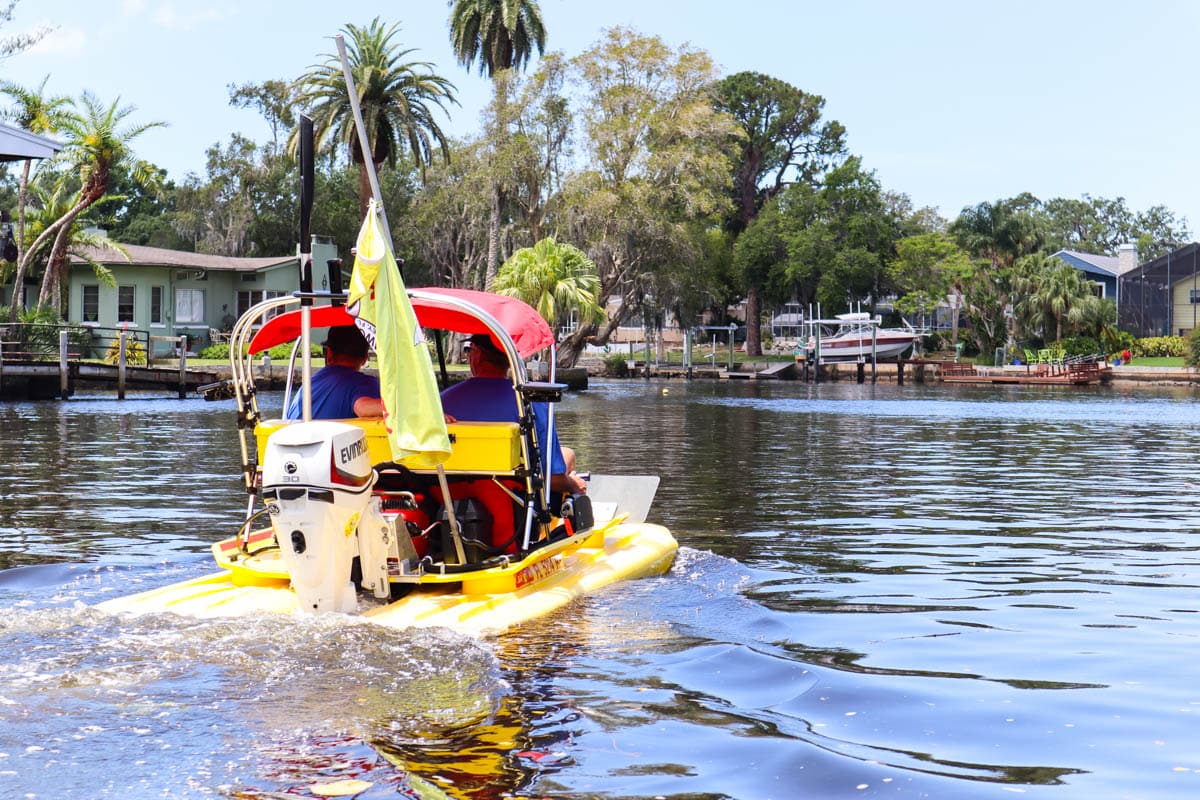 CatDawg adventure, Port Richey