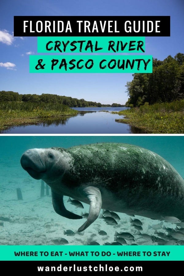 Florida Travel Guide - Crystal River and Pasco County