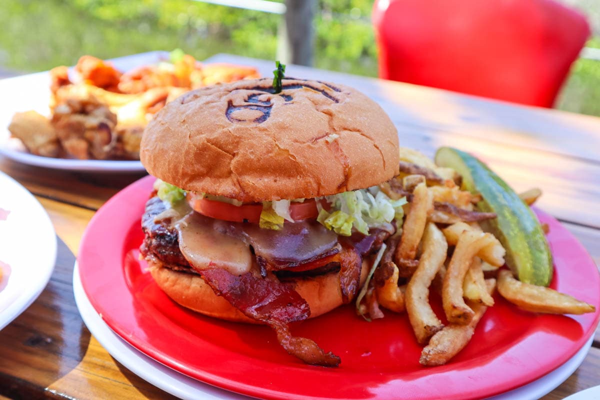 Burgers at Gill Dawg Tiki Bar and Grill