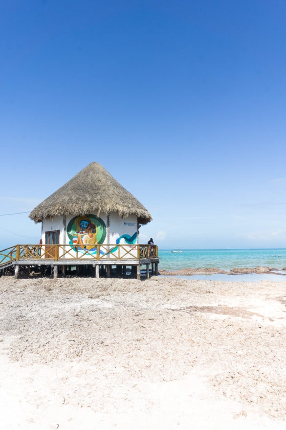 Read This Before Visiting Isla Holbox, Mexico Ultimate Travel Guide 2024