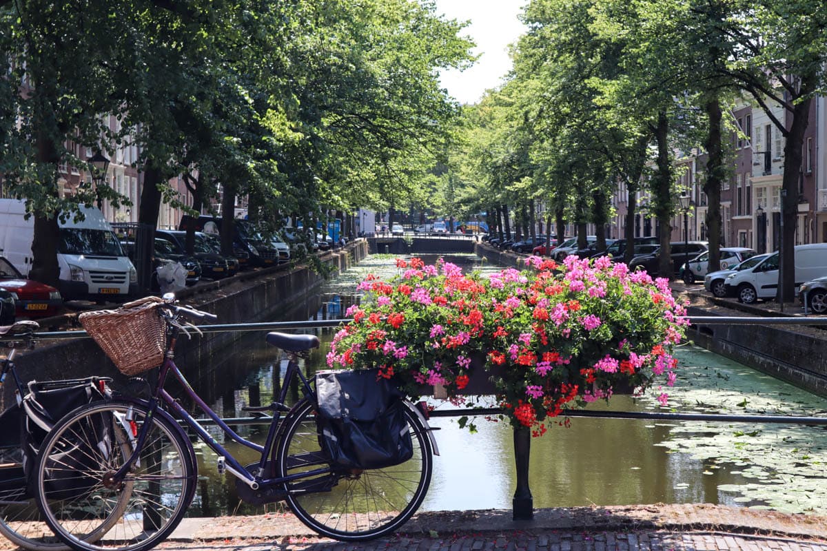 Beautiful views in The Hague