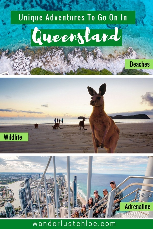 Unique Adventures To Go On In Queensland