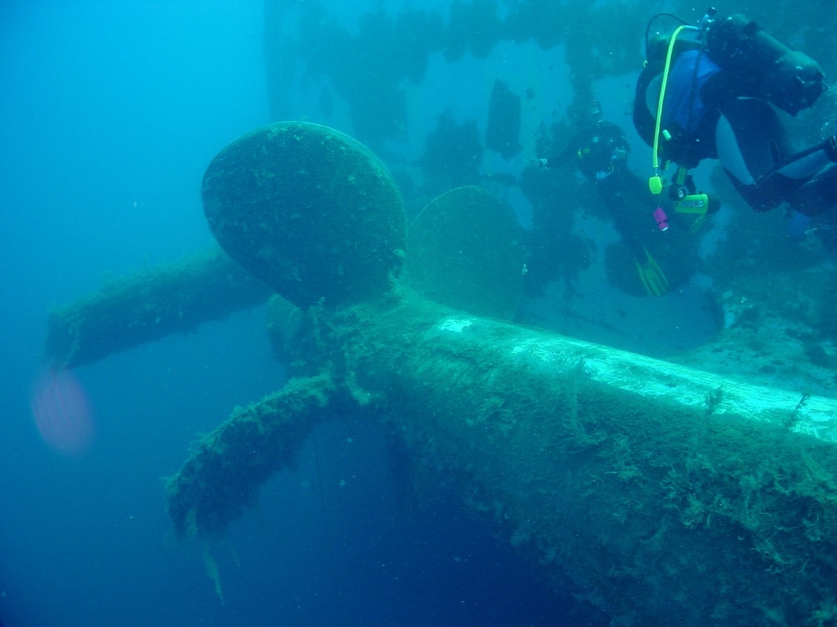 MS Zenobia, Cyprus