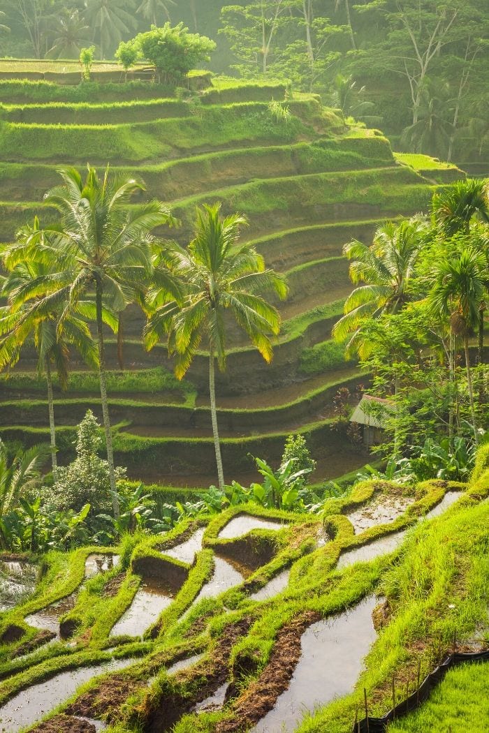 Ubud, Bali