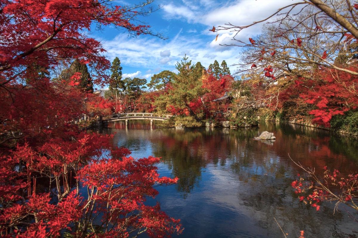 Autumn leaves in Japan