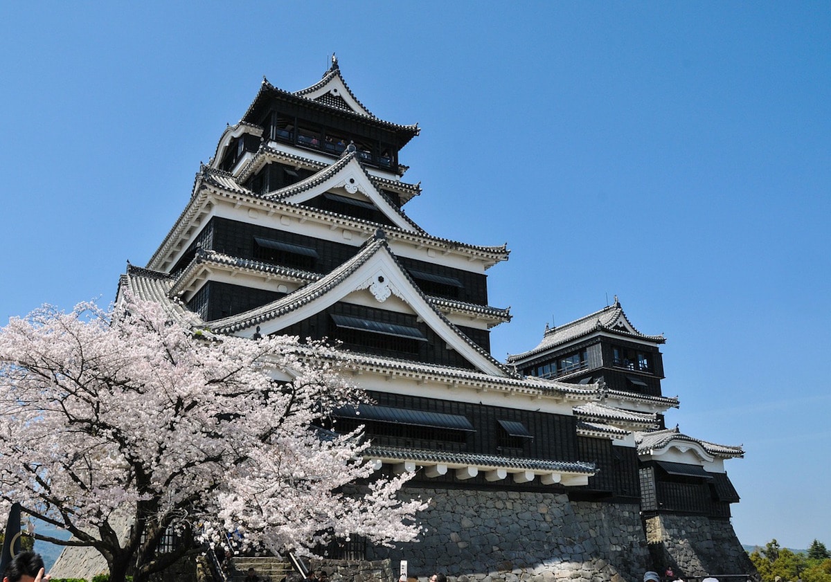 Beautiful cherry blossom in spring in Japan