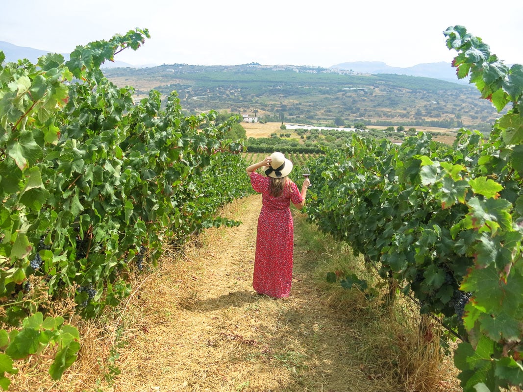Vicky enjoying the vineyards in Ronda, Spain