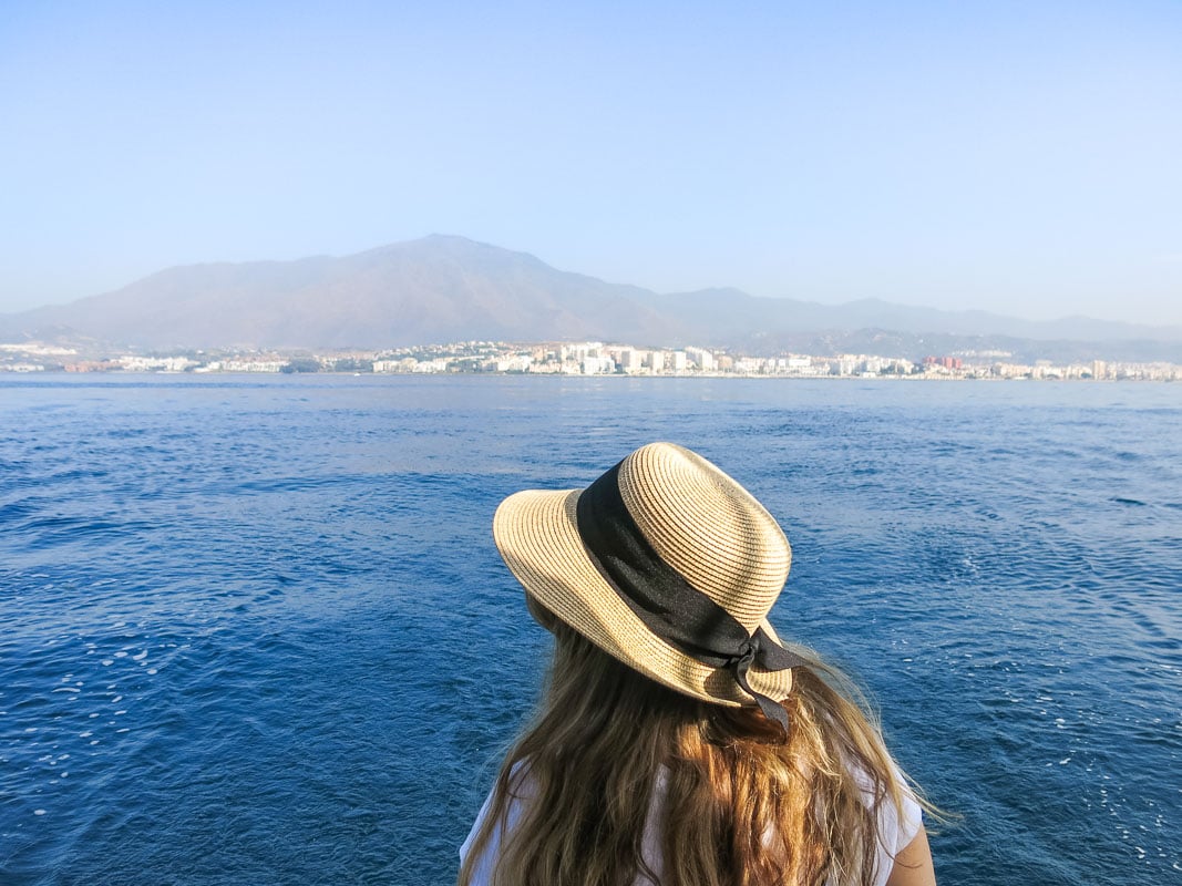 Boat trip to see dolphins