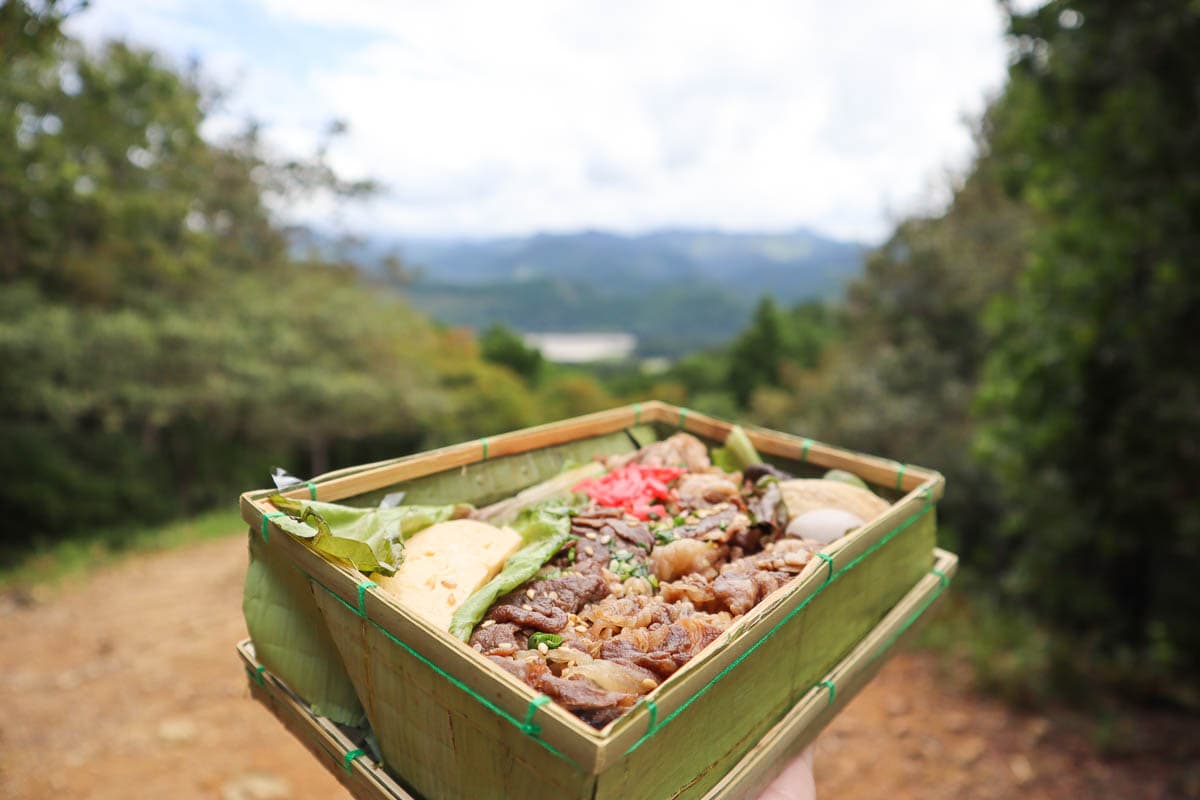 Enjoying a bento box in the mountains on the Kumano Kodo trek, Japan