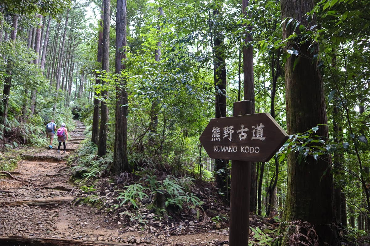 Trekking through the forests on the Kumano Kodo trek, Japan