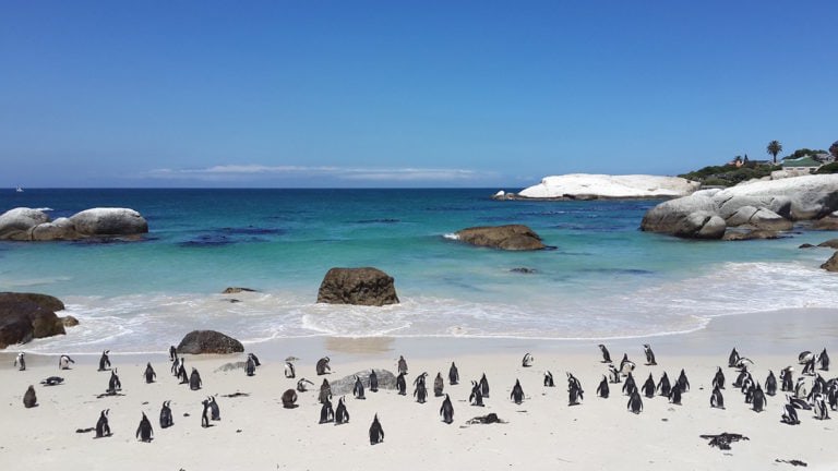 Best Holiday Destinations In South Africa (2022 Guide)