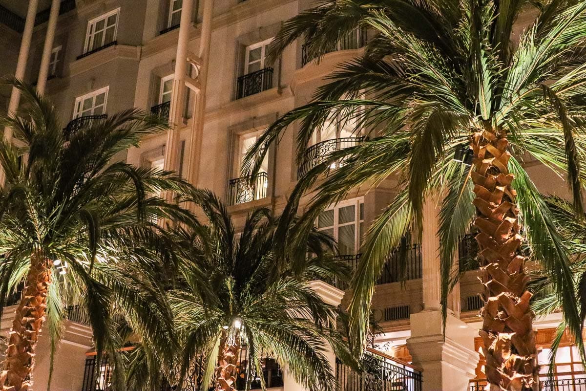 Amazing palm trees at the Winter Garden Restaurant, London