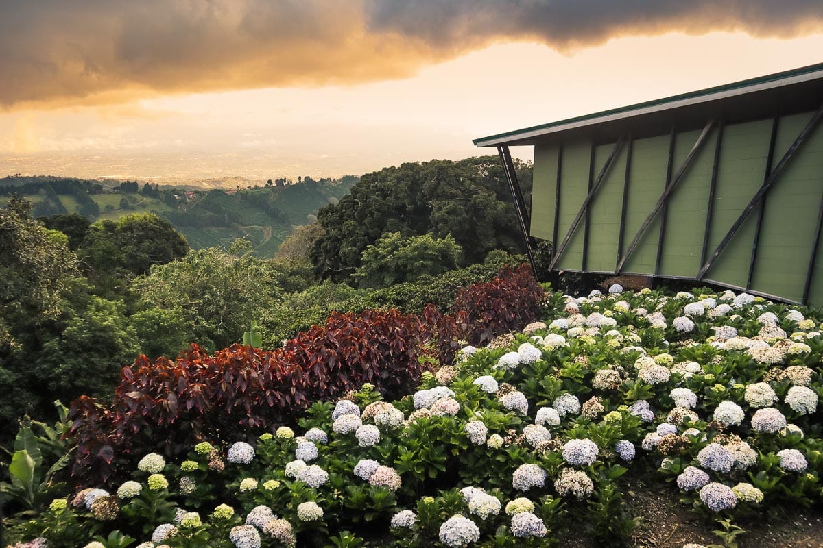 Chayote Lodge, Naranjo, Costa Rica