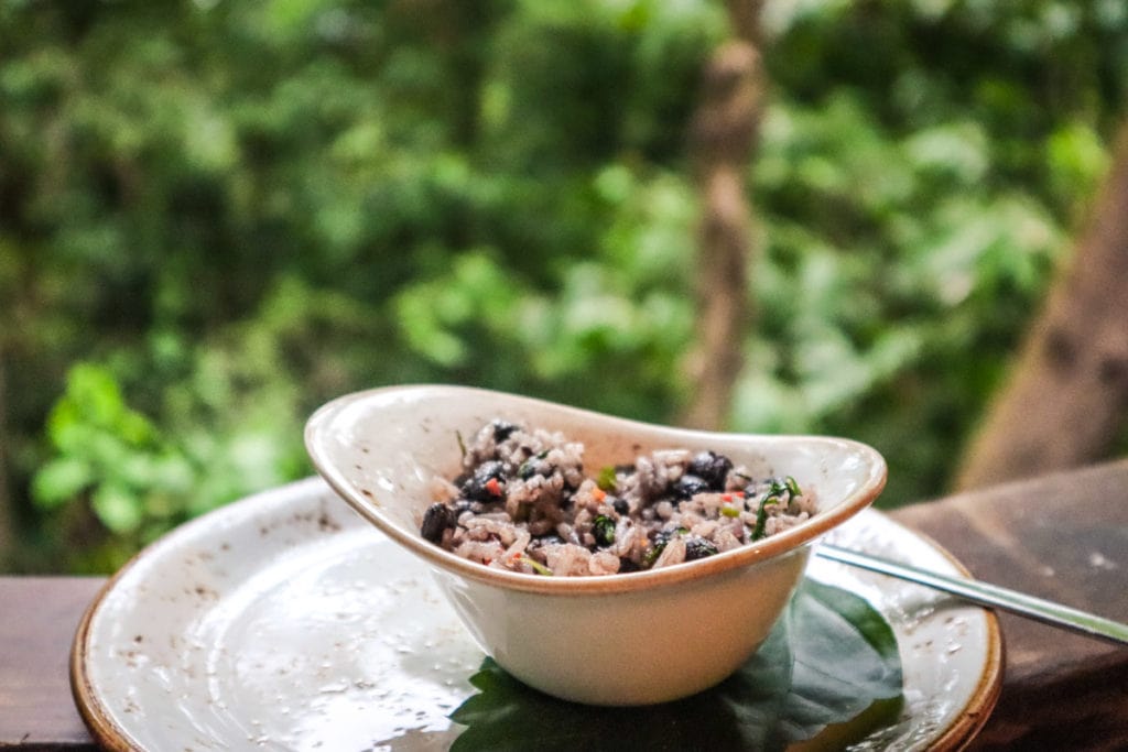 Gallo pinto at Lapa Rios, Costa Rica