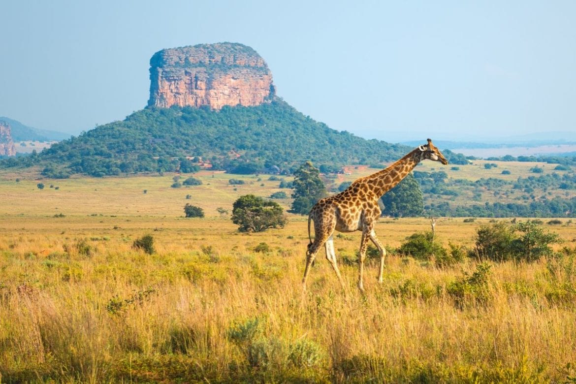 Best Holiday Destinations In South Africa: 2023 Guide