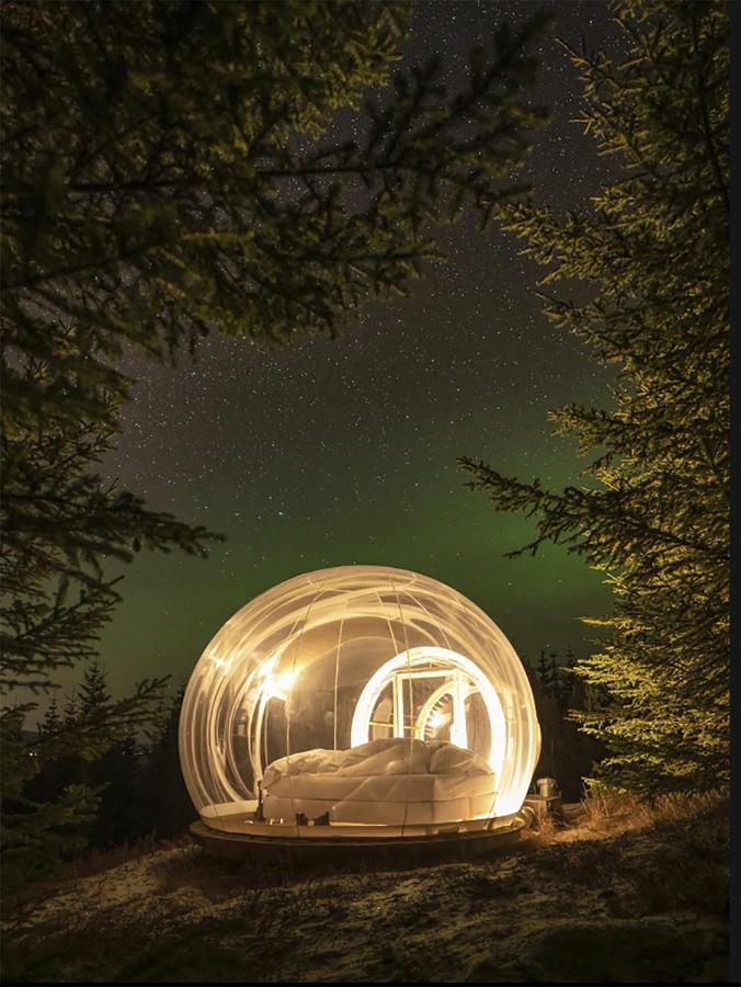 Bubble hotel