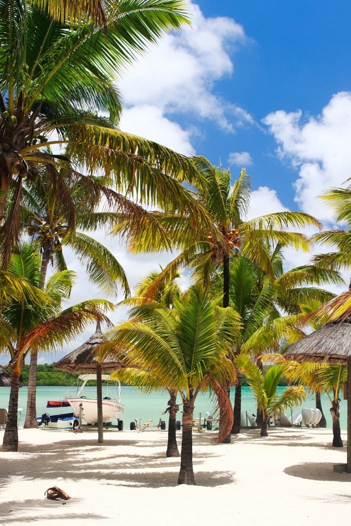 Beach in Mauritius