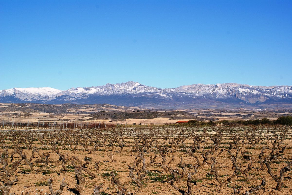 Beautiful views in La Rioja, Spain