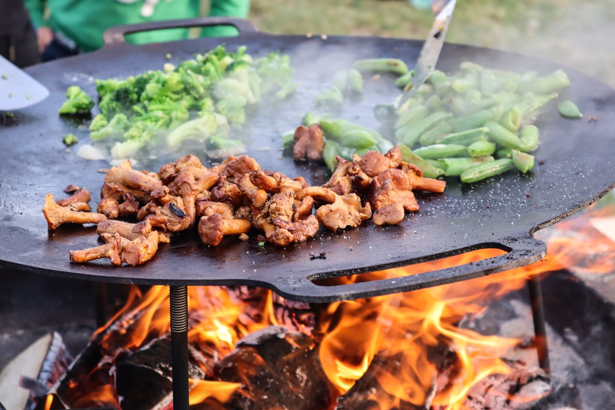 Wild cooking experience at Håcknesta Gård, Sweden