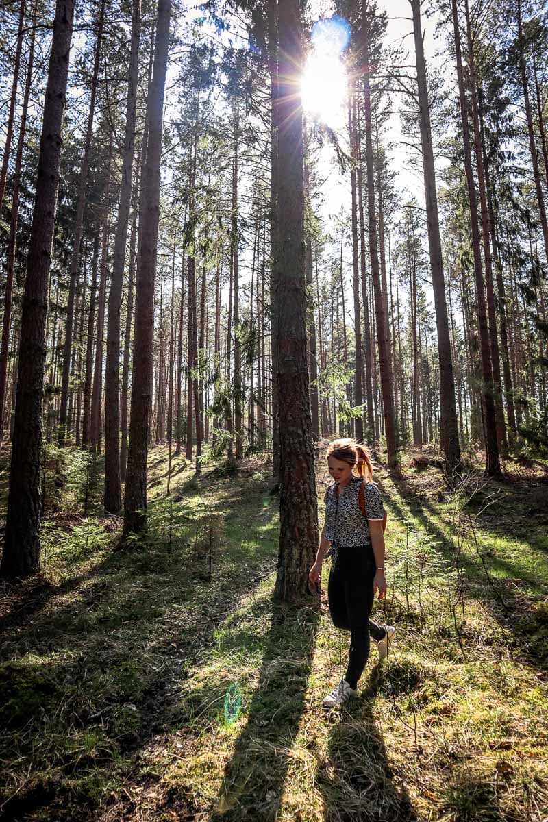 Trekking through Sörmland's forests, Sweden