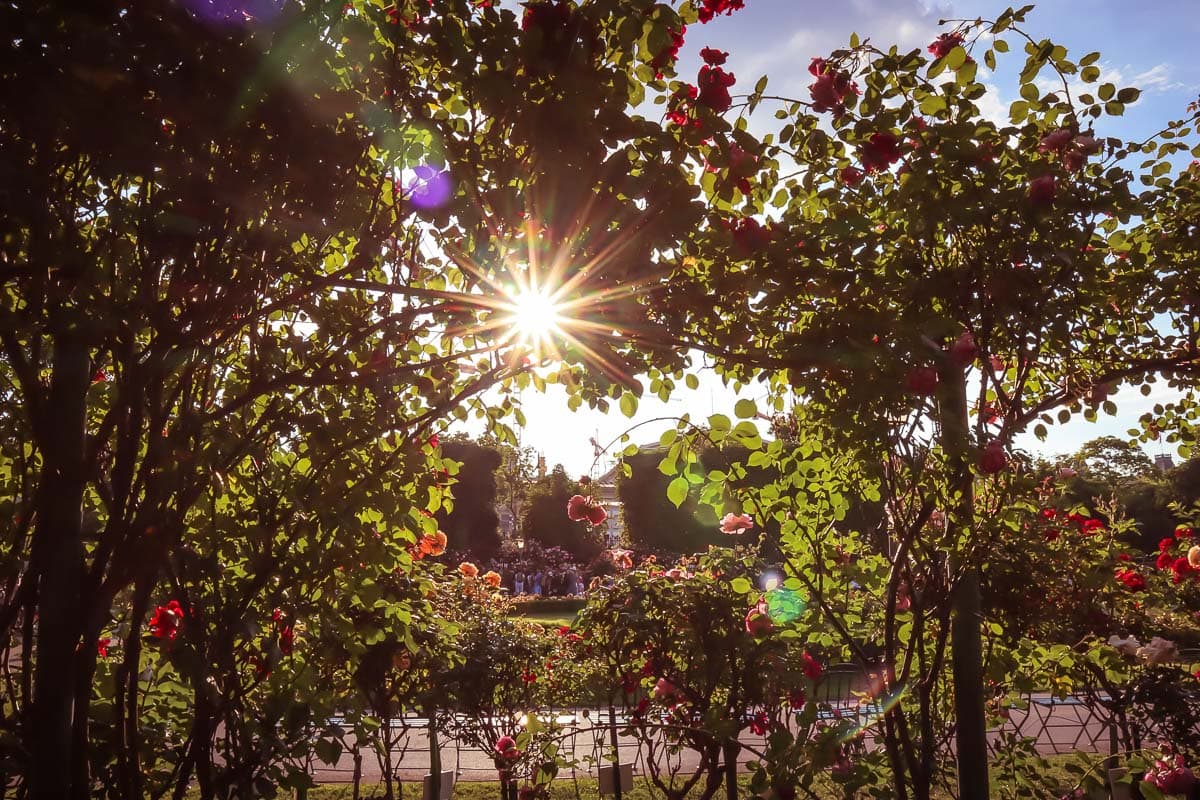 Volksgarten, Vienna