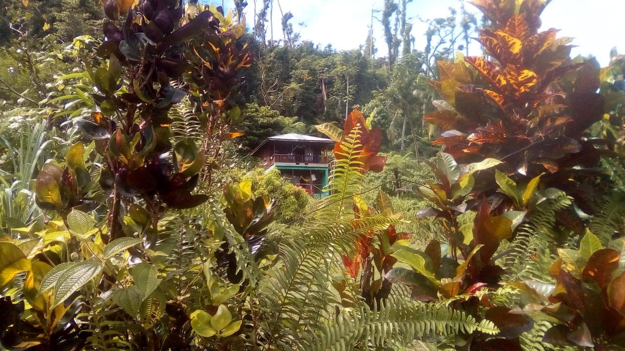 3 Rivers Eco Lodge, Dominica
