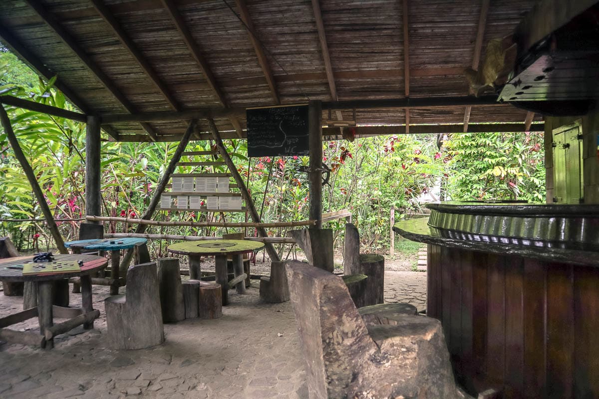 Bush bar on our Indian River Safari, Dominica