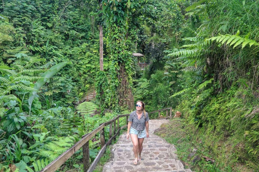 17 Things To Know Before Visiting Dominica: 2024 Guide