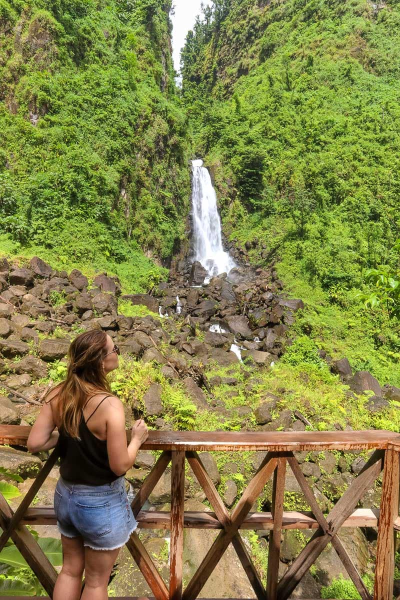 Visiting Trafalgar Falls, Dominica