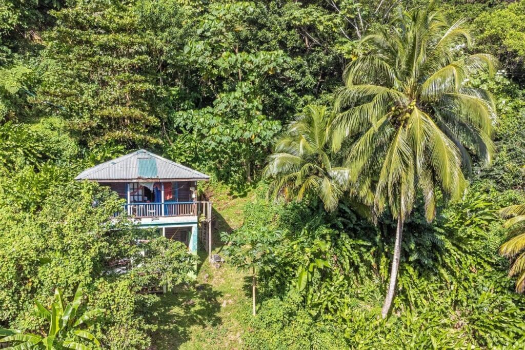 3 rivers eco lodge dominica