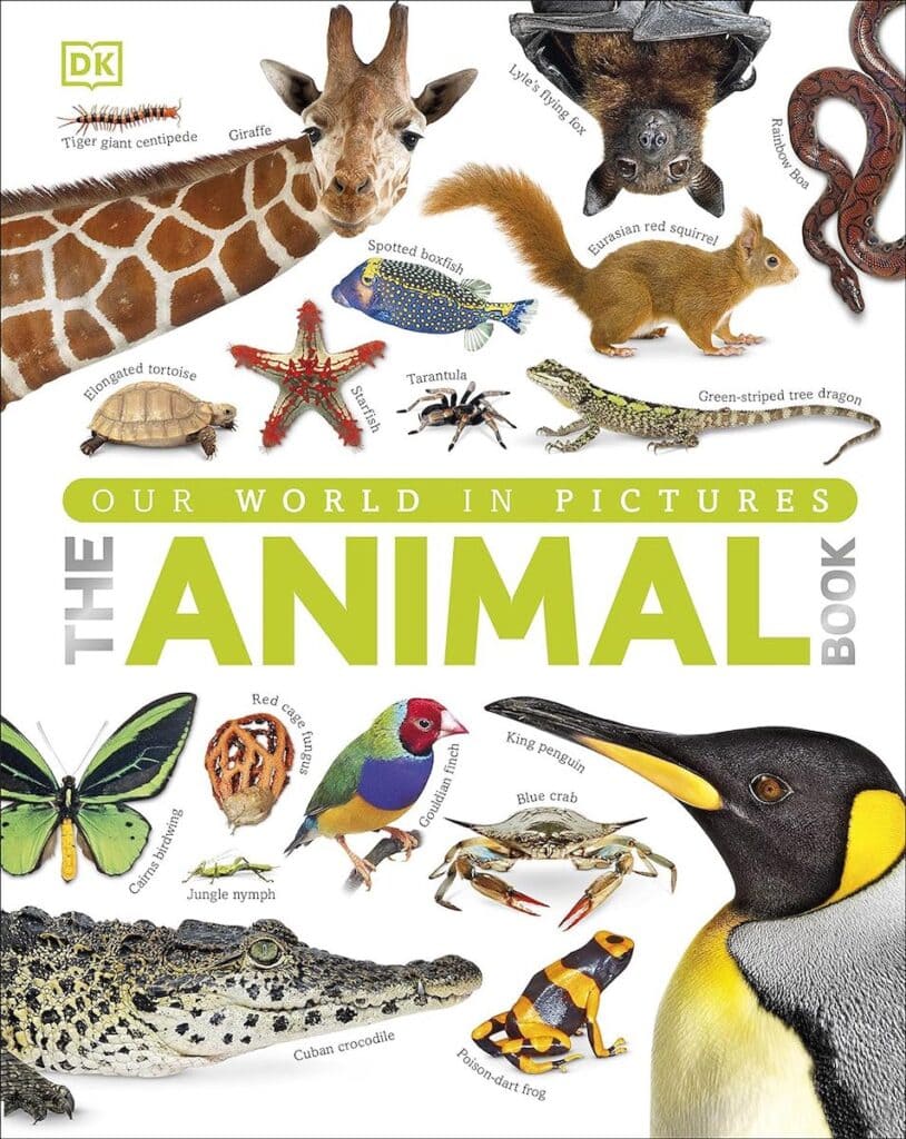 the animal book