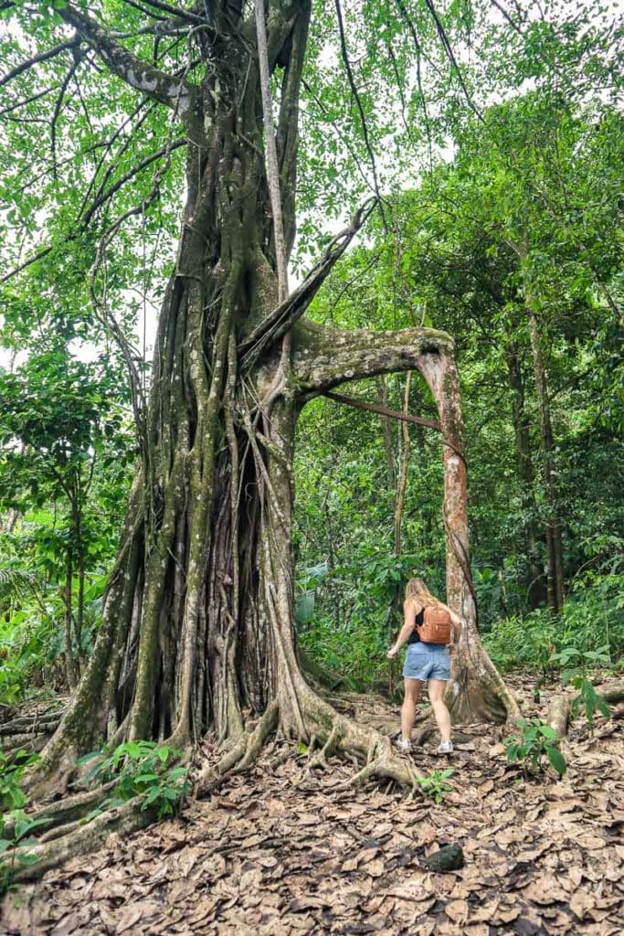 Exploring Corcovado in Costa Rica