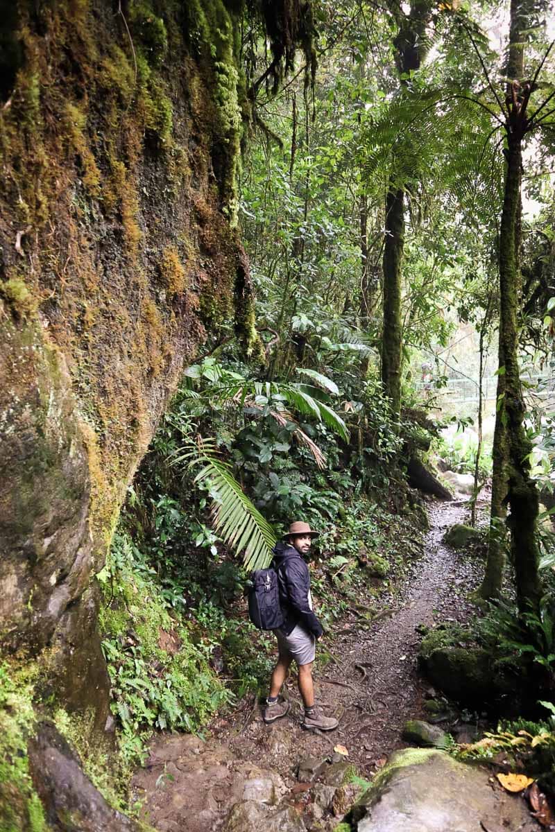 Exploring the forests in Costa Rica 