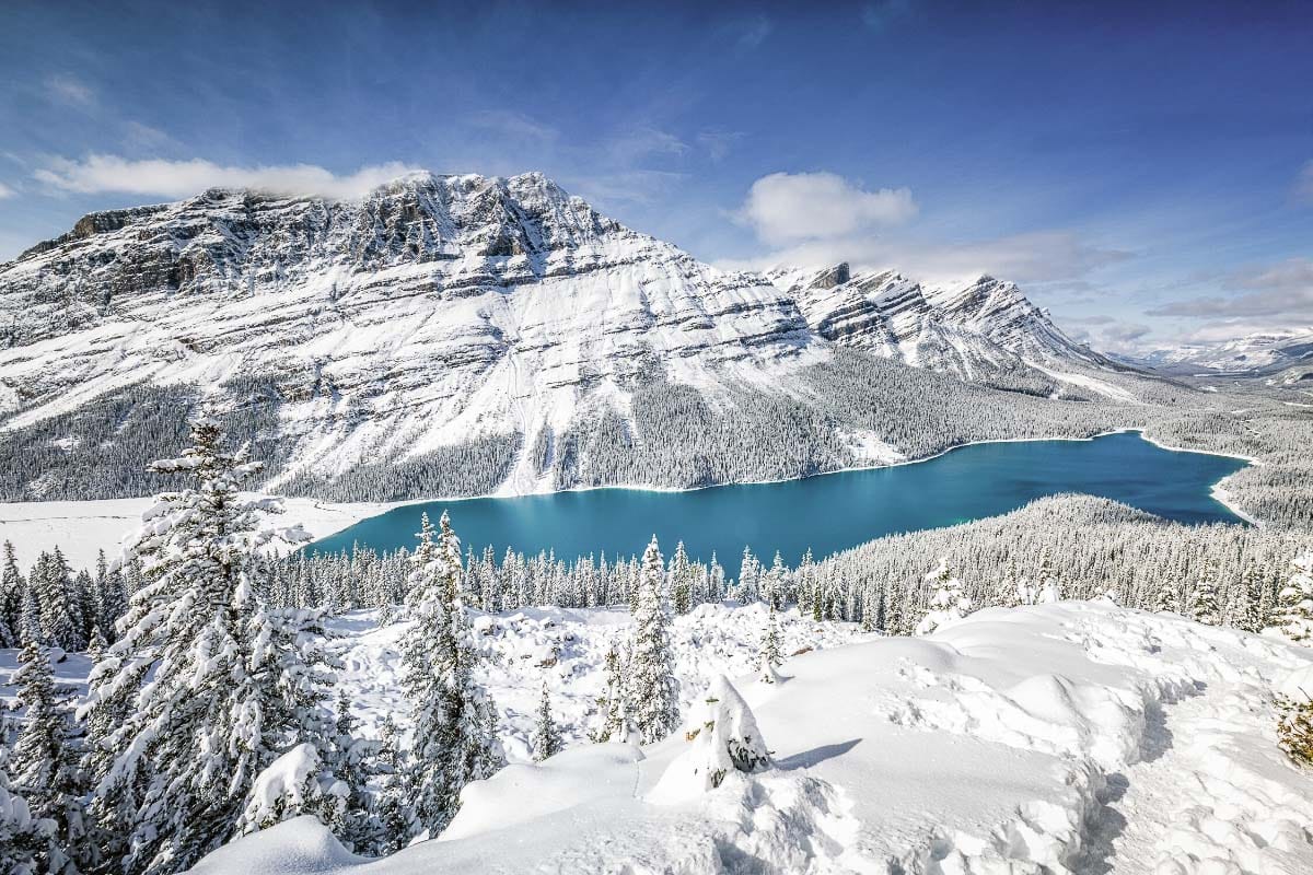 Spectacular views in Alberta in winter