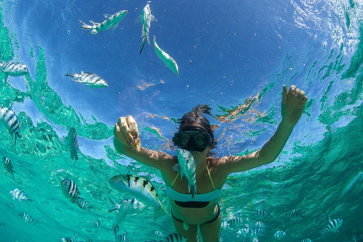 Snorkelling in Mauritius