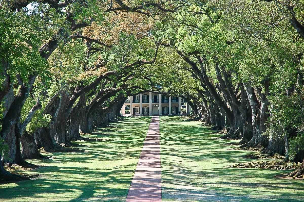 Oak Alley Plantation