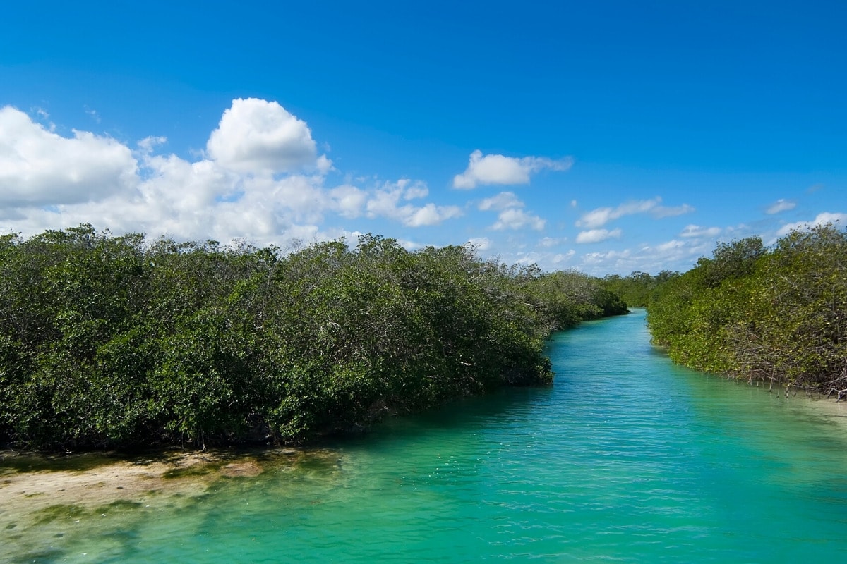 Sian Ka’an Biosphere Reserve