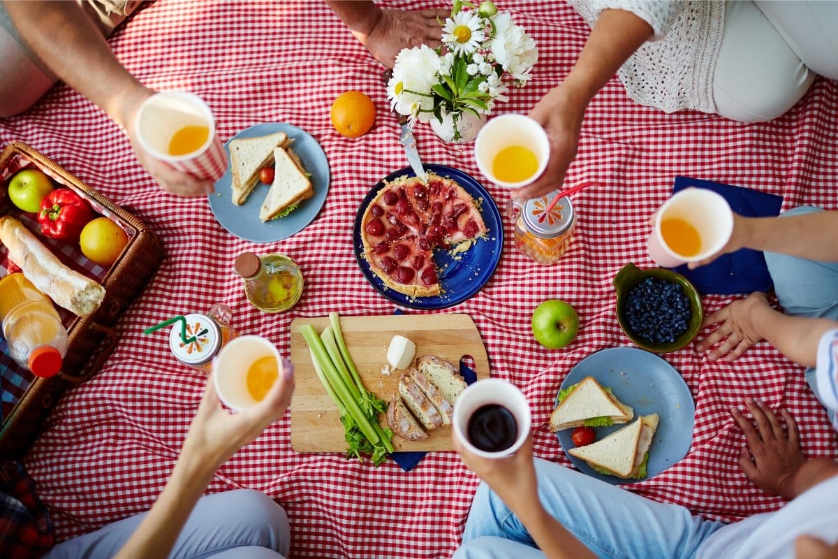 Backpack picnic sets 